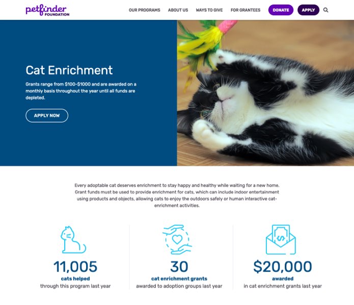 Cat Enrichment Grant Page